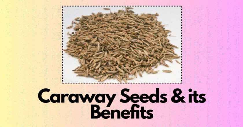 Caraway Seeds in hindi