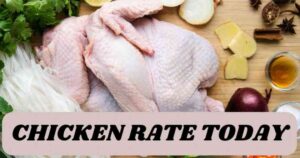 chicken rate today