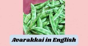 Avarakkai in English