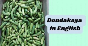 Dondakaya in English