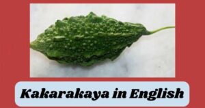 Kakarakaya in english