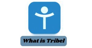 Tribel social media