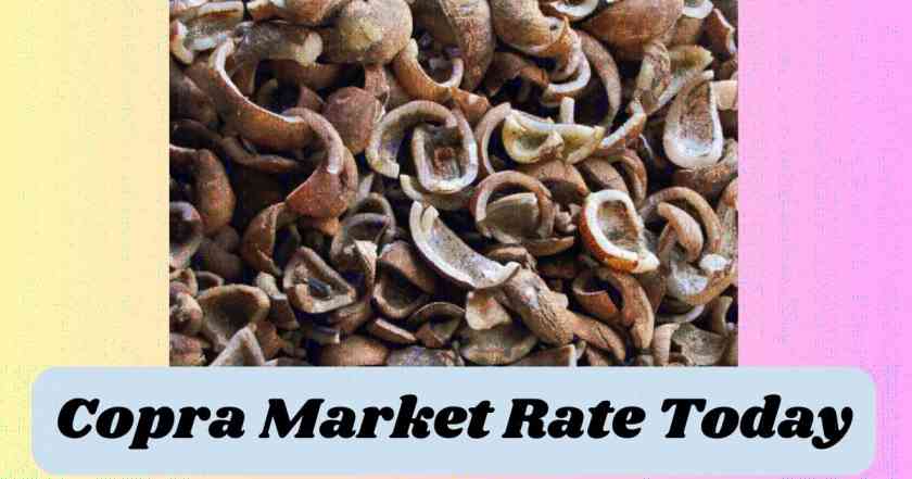 Copra Market Rate