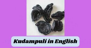 Kudampuli in English