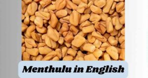 Menthulu in english