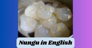 Nungu in English