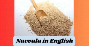 Nuvvulu in English