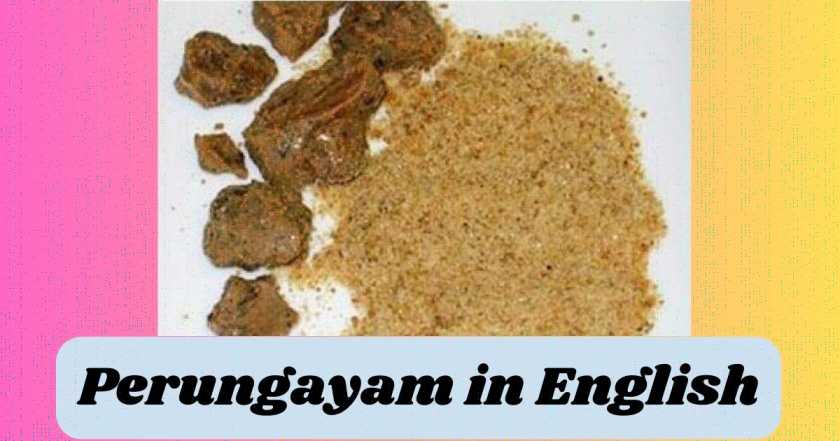 Perungayam in English