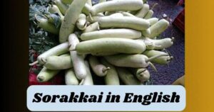 Sorakkai in English