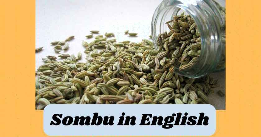 sombu in english